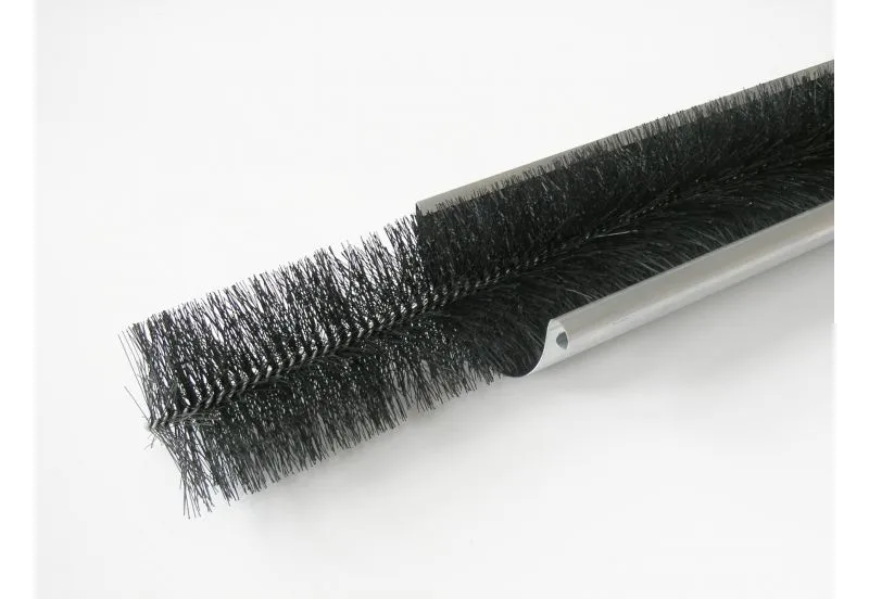 Rinnenraupe, &Oslash; 12 cm,