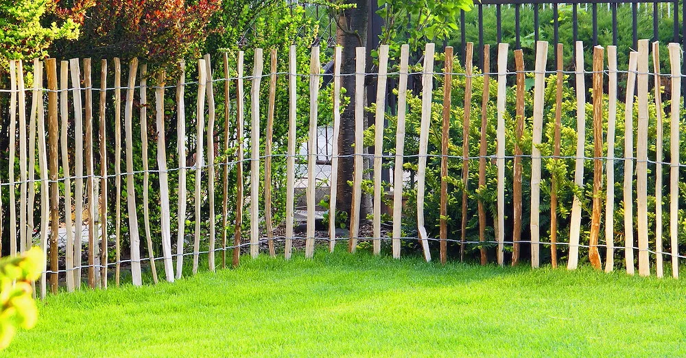 Staketenzaun Berg-Haselnuss