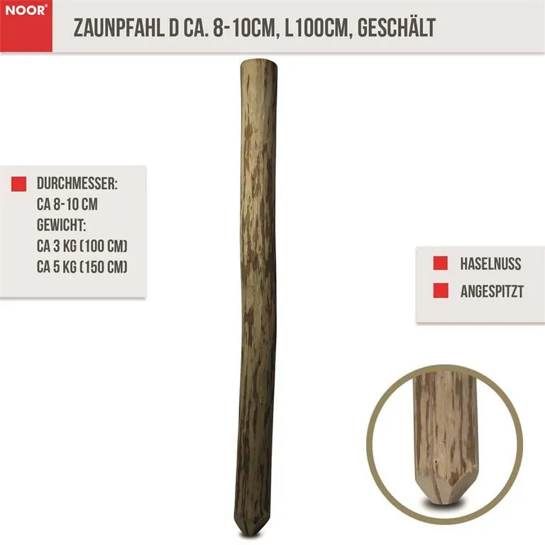 Zaunpfahl Berg-Haselnuss 100cm