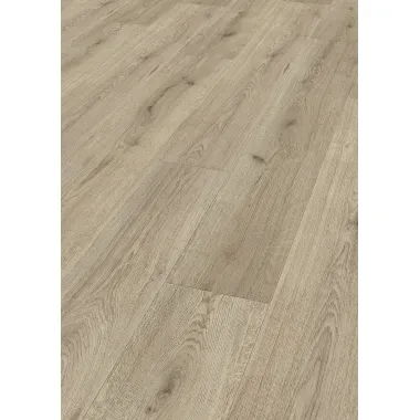 SUP Standard Trend Eiche grau