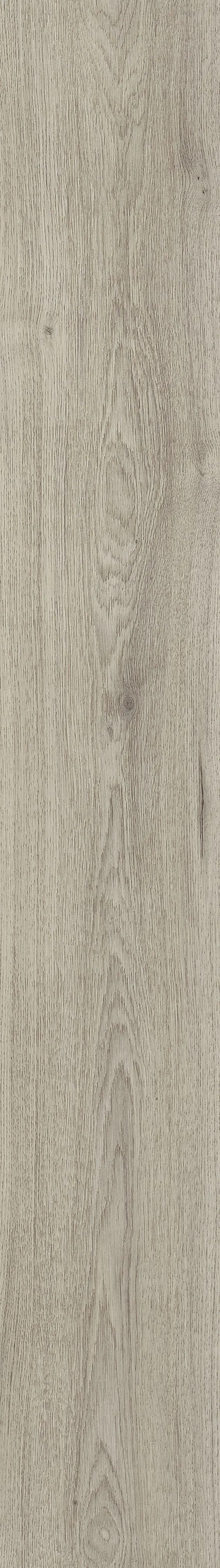 SUP Standard Trend Eiche grau