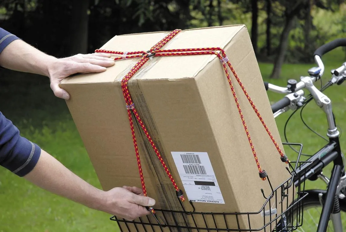 SPARPROFI Gep&auml;ckspinne 8-armig