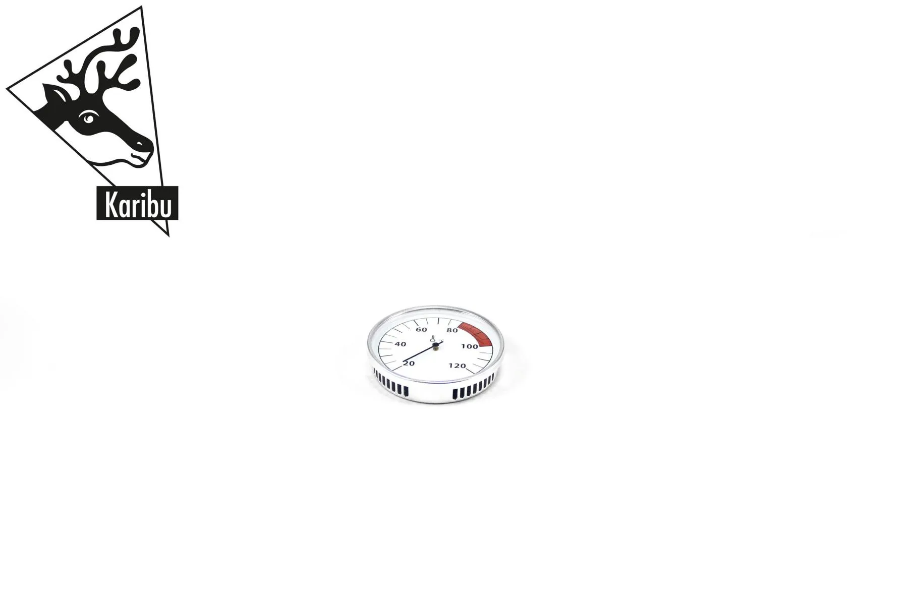 Thermometer CLASSIC 100