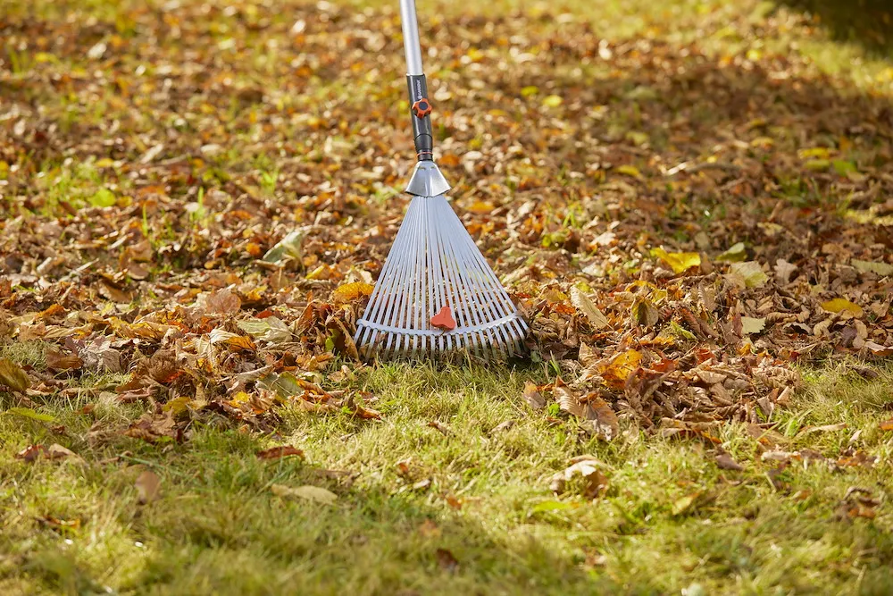 cs-Verstellbesen, 30-50 cm