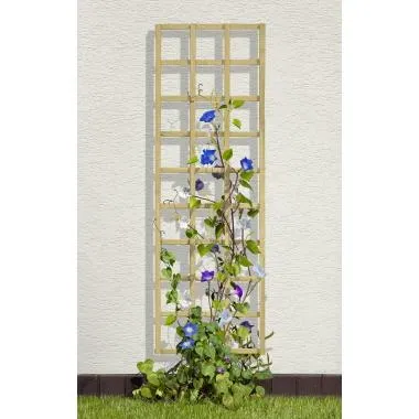 Rankgitter ohne Rahmen