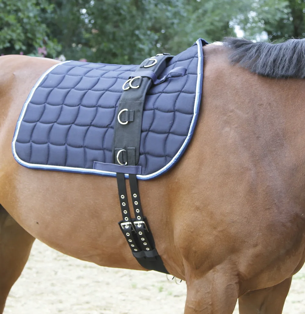 Longiergurt Nylon, 9 Ringe