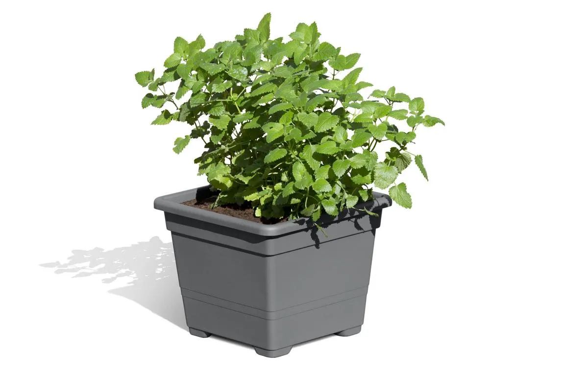 Pflanzkasteneinsatz anthrazit