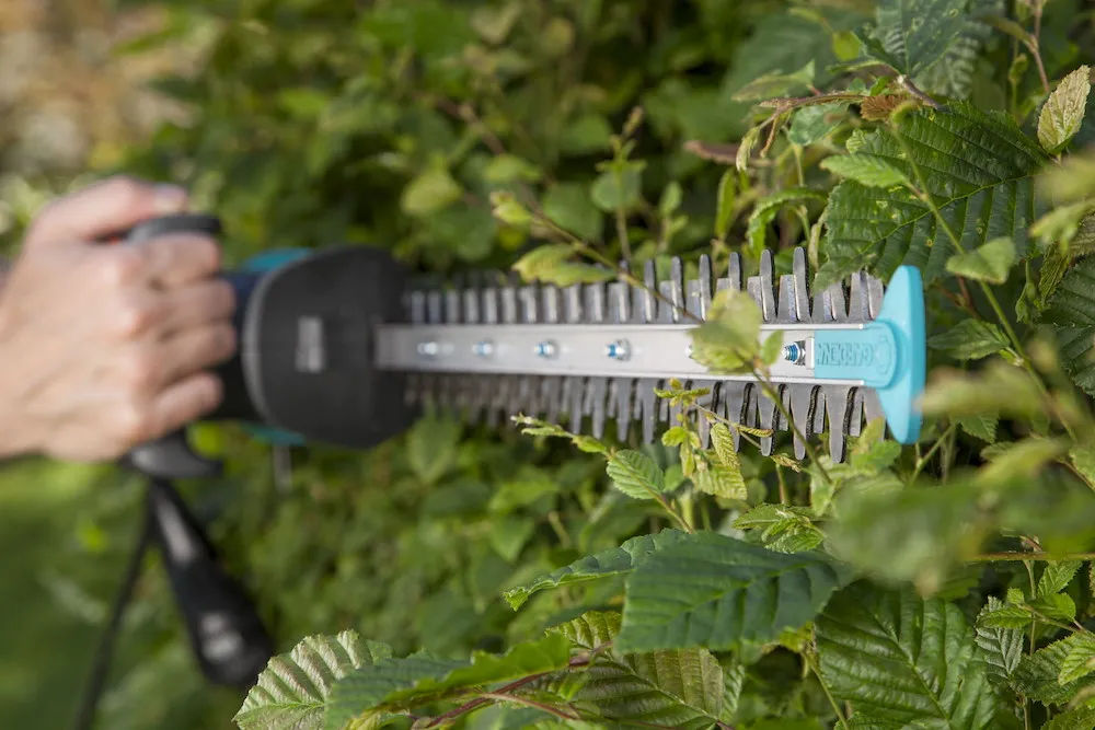 Elektro-Heckenschere