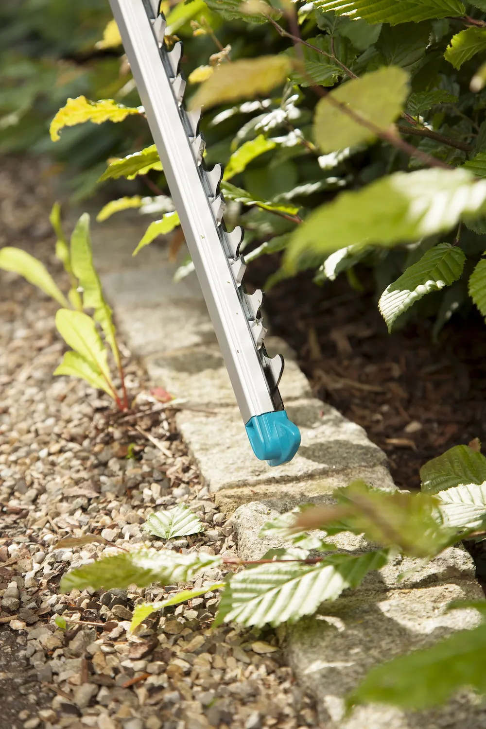 Elektro-Heckenschere