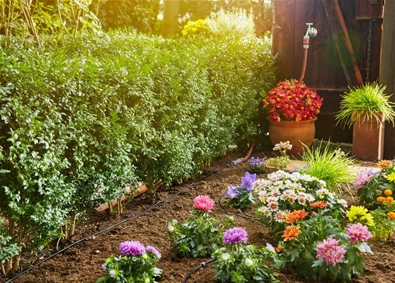 Micro-Drip-System Start Set