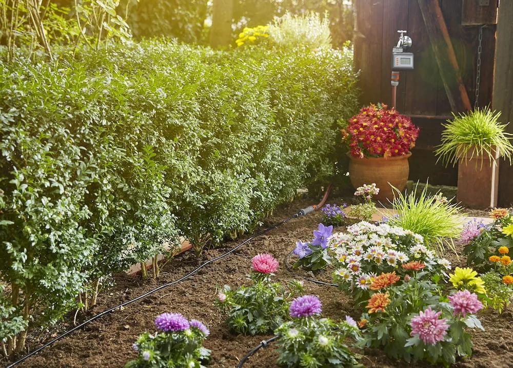 Micro-Drip-System Start Set