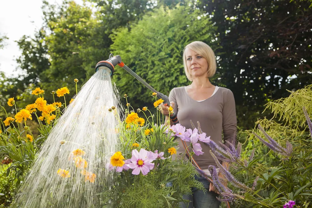 Comfort Gie&szlig;stab