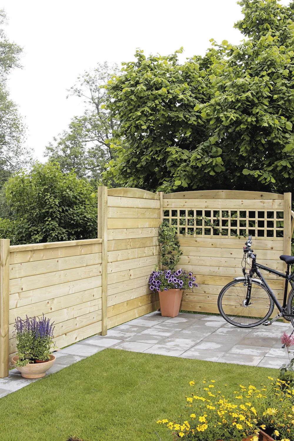 RIAD-System, Douglasie