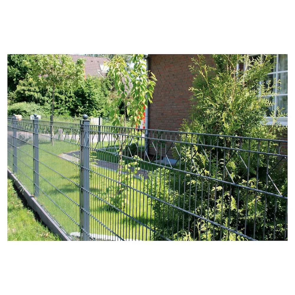 CARO Einzeltor RAL 7016 anth