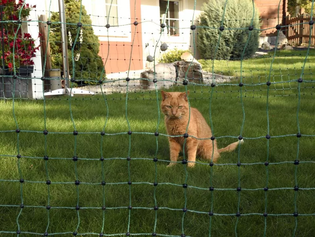 Katzennetz 25mtr., 9 Pf&auml;hle,