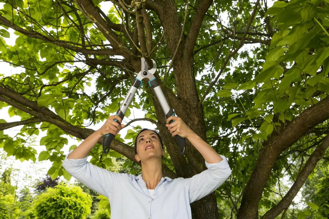 Astschere EasyCut 500 B