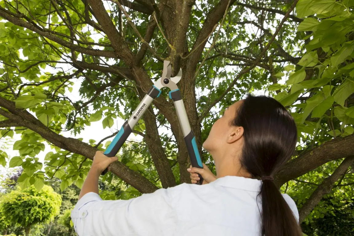 Astschere EasyCut 500 B