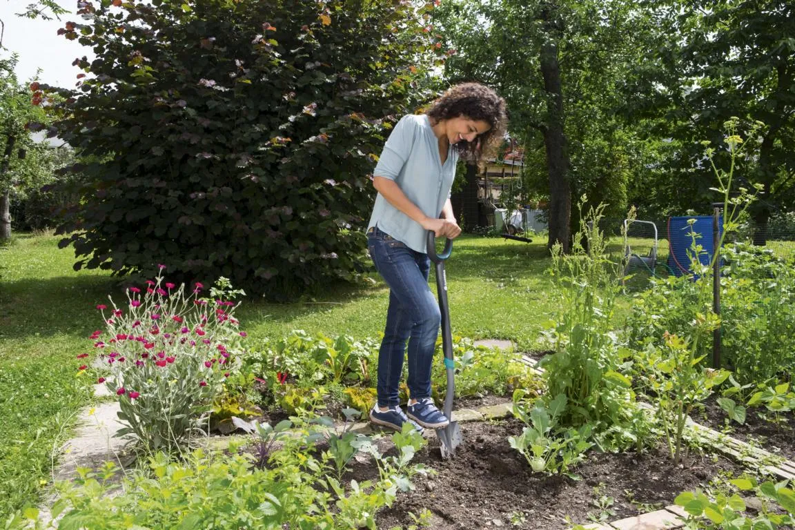 ErgoLine Damen-Spaten