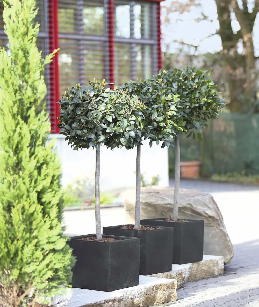 Kubus quadrat 40x40x34 cm