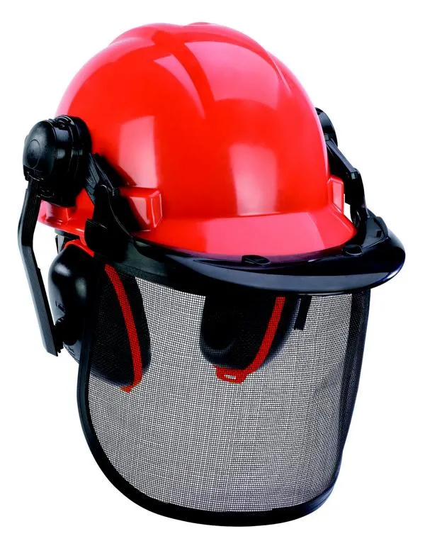 Forstschutzhelm BG-SH 2