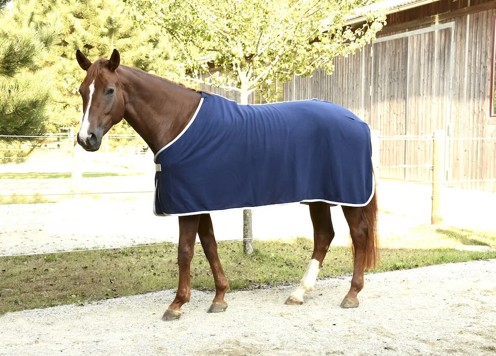 RugBe Fleecedecke Economic