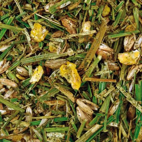 N&ouml;senberger Luzerne-Mix 350 kg