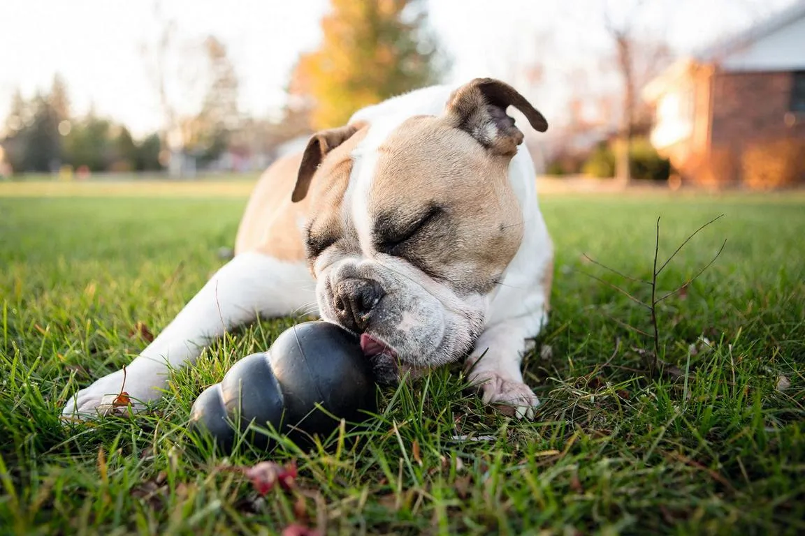 KING KONG Large schwarz