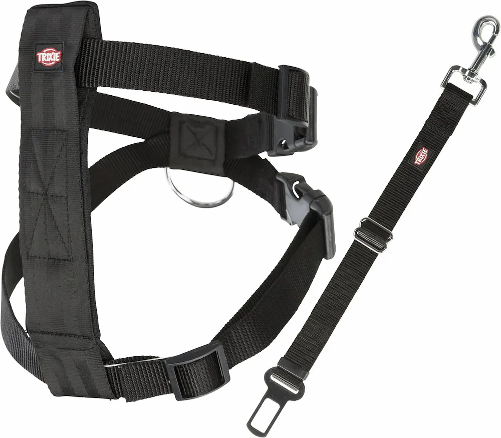 Autosicherheitsgurt Gr&ouml;&szlig;e L,