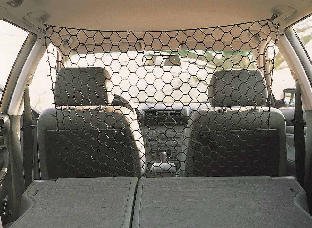 Auto Sicherheitsnetz