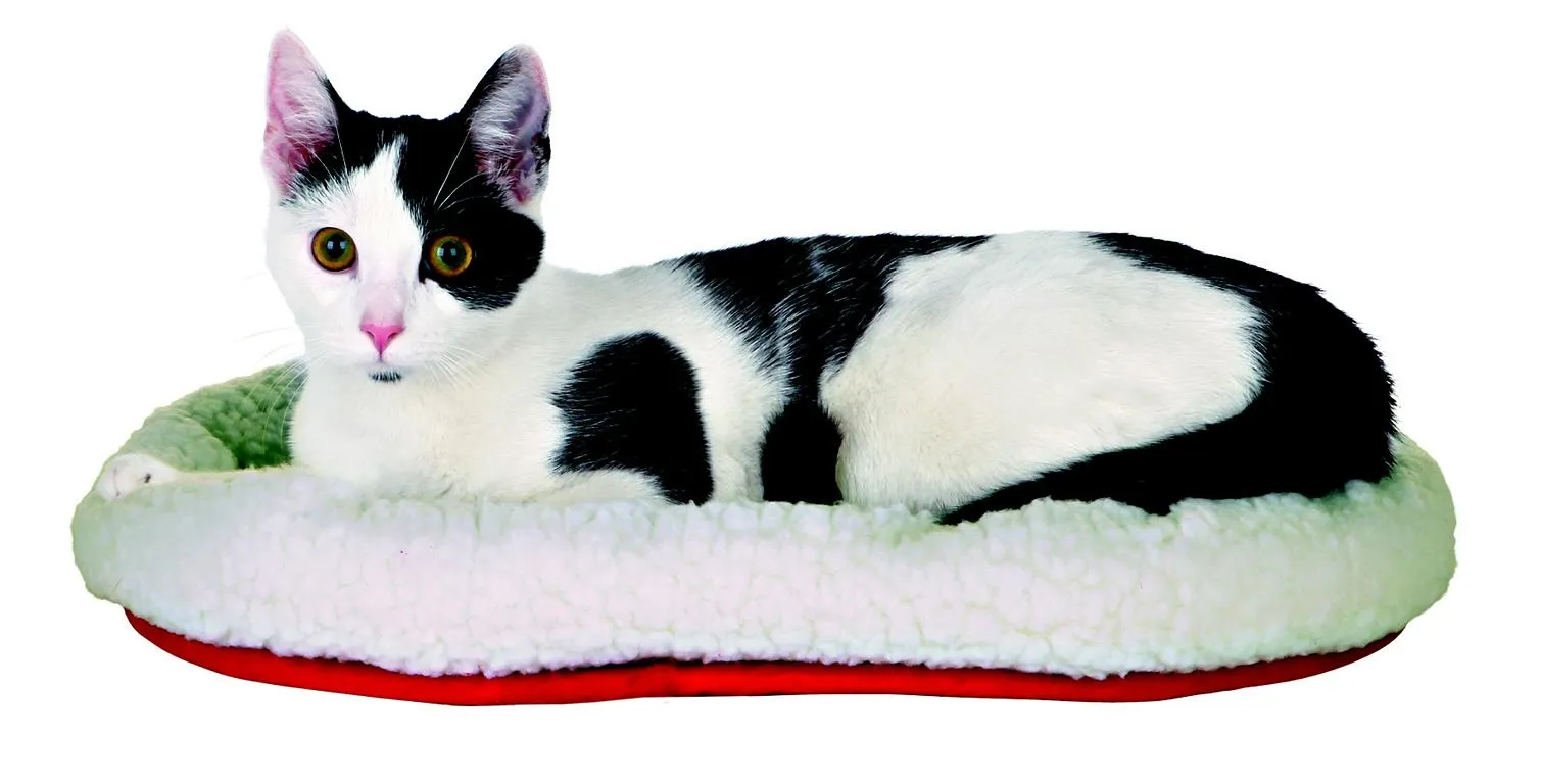 Katzen-Kuschelbett,