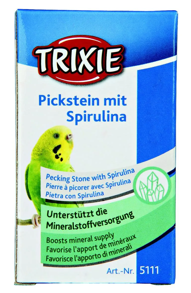 Pickstein mit Halter, klein,