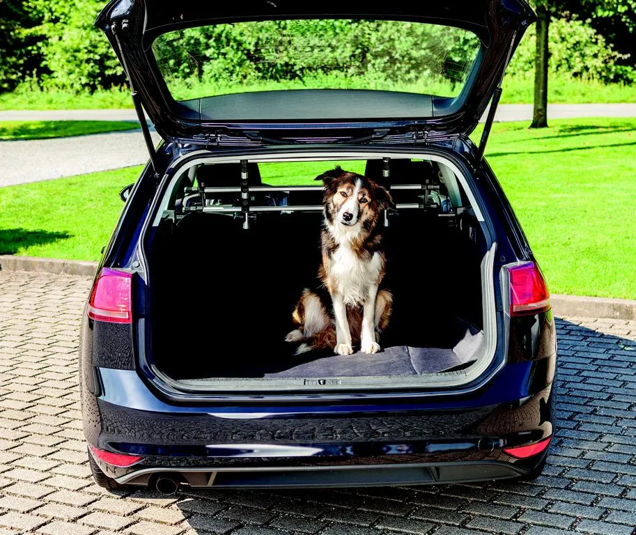 Kofferraum-Schondecke,