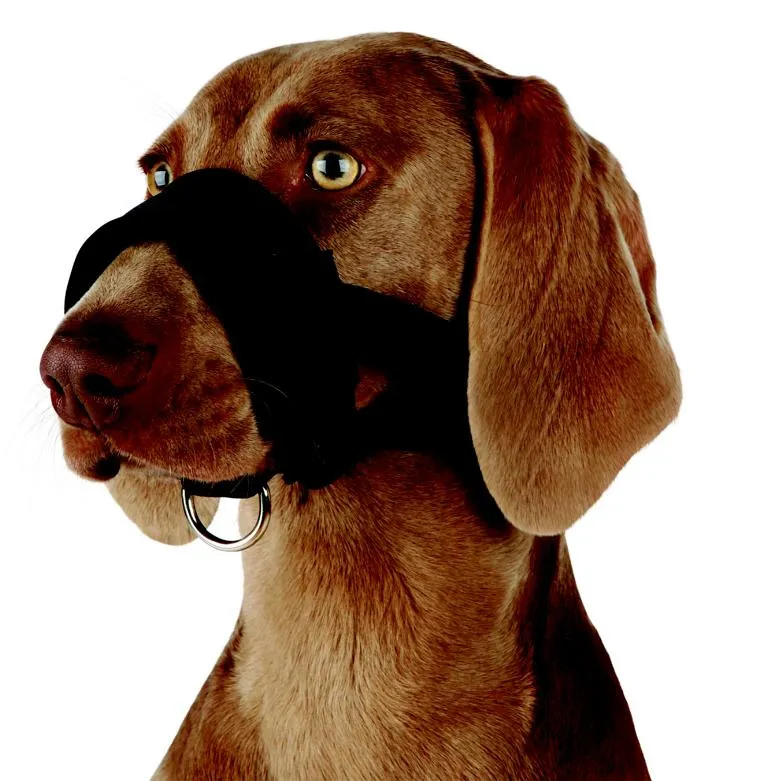 Maulschlaufe, Nylon, Gr&ouml;&szlig;e L,