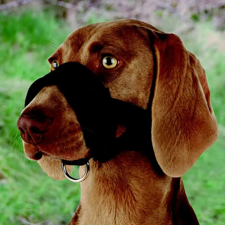 Maulschlaufe, Nylon, Gr&ouml;&szlig;e L,