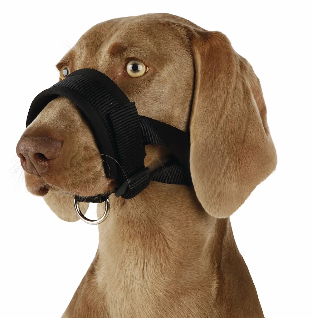 Maulschlaufe, Nylon, Gr&ouml;&szlig;e L,