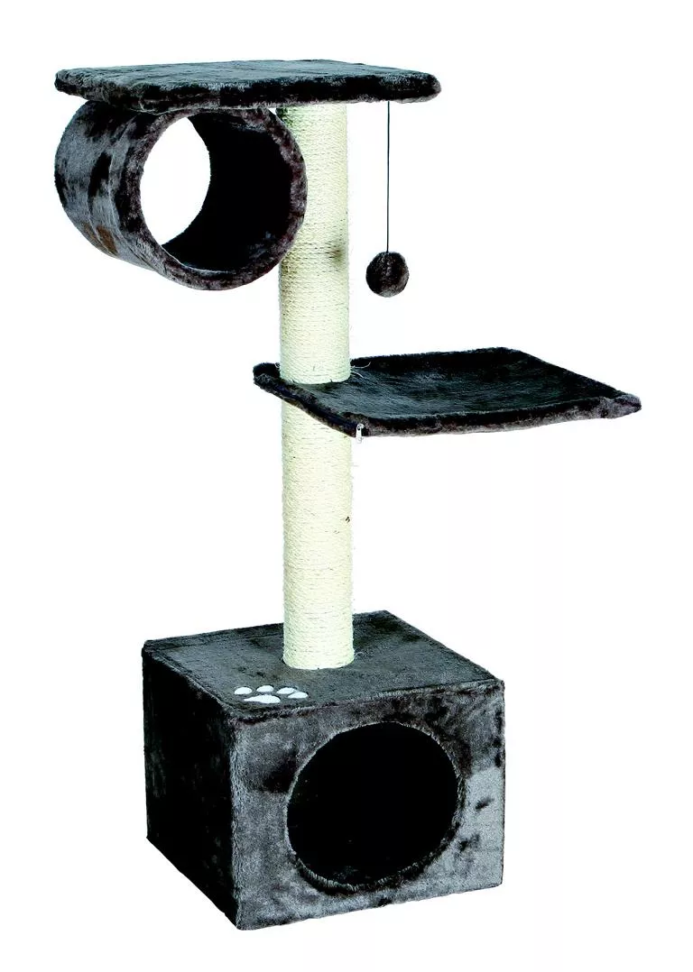 Kratzbaum 'San Fernando',