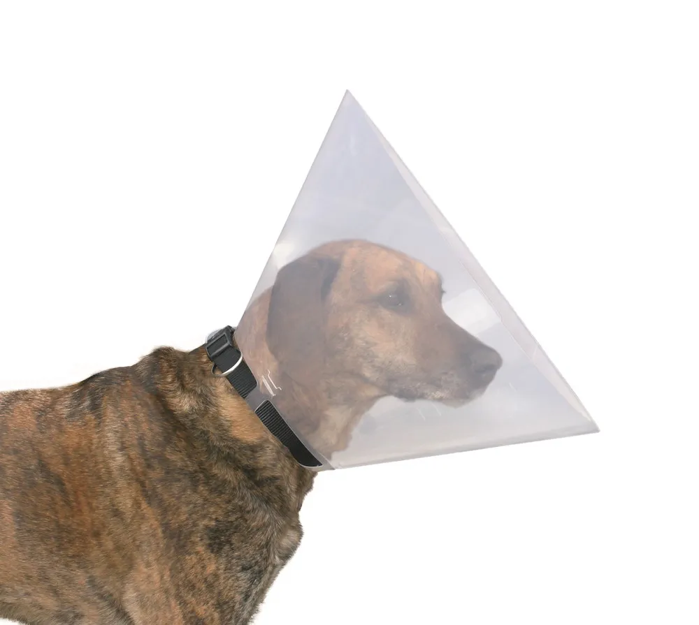 Tierbedarf