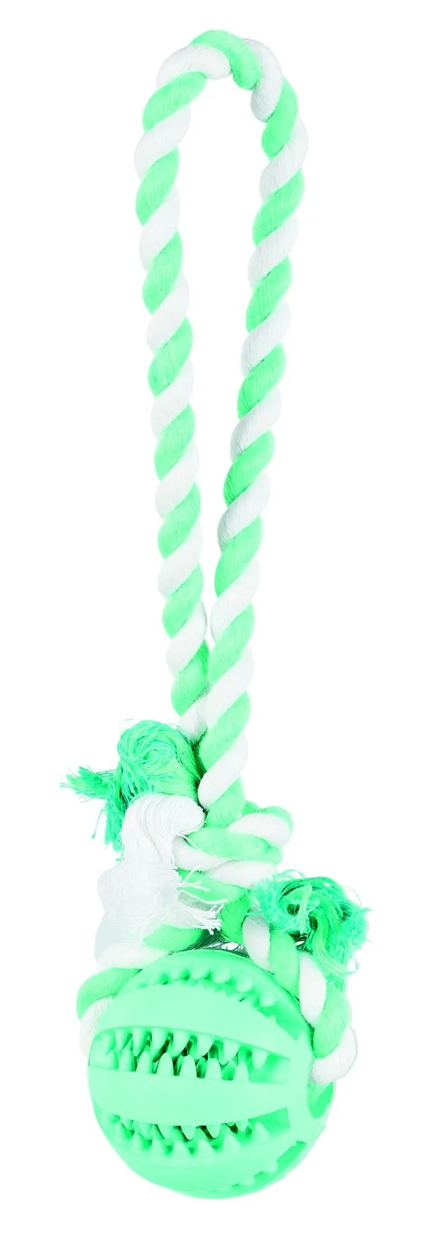 DENTAfun Ball am Tau,