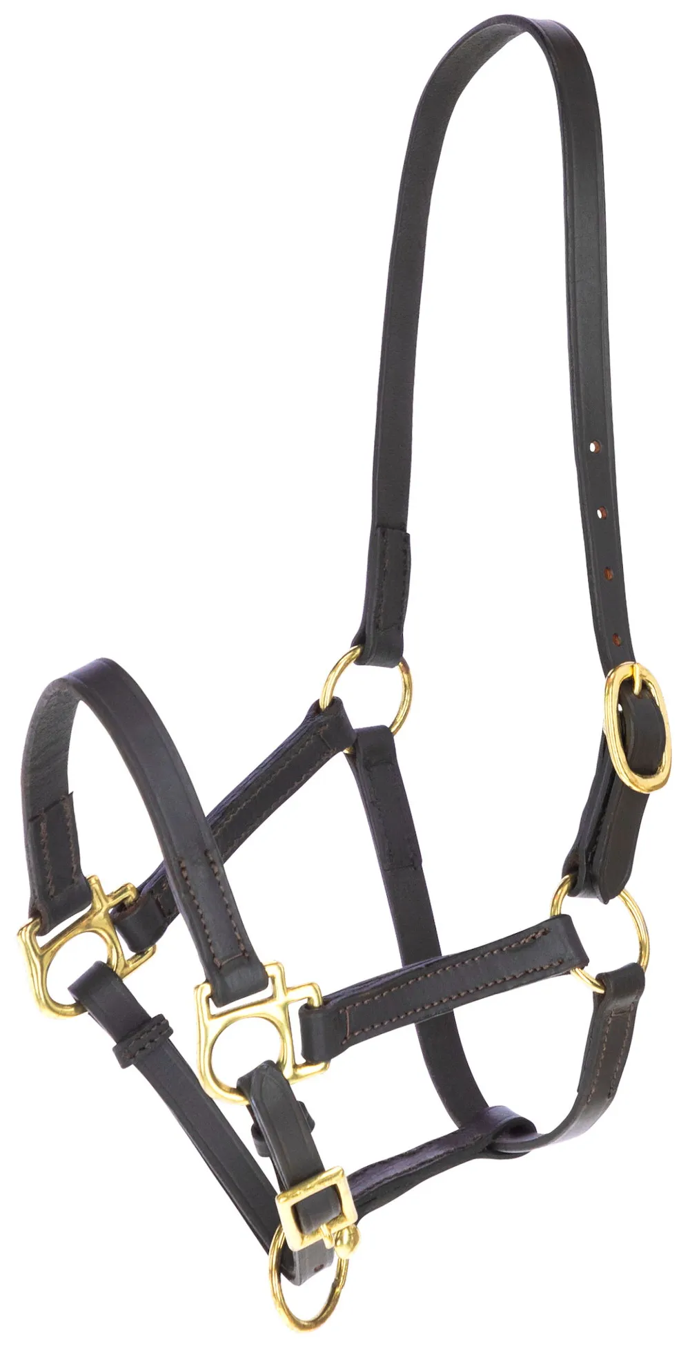 Fohlenhalfter Leder braun