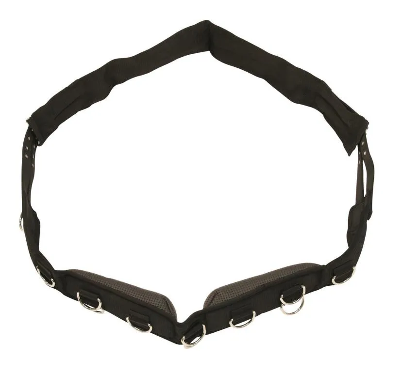 Longiergurt, breit, 9 Ringe