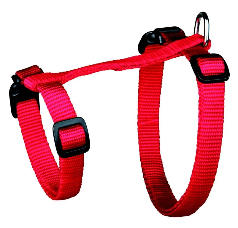 Katzen-Garnitur mit Leine