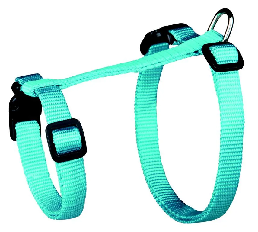 Katzen-Garnitur mit Leine