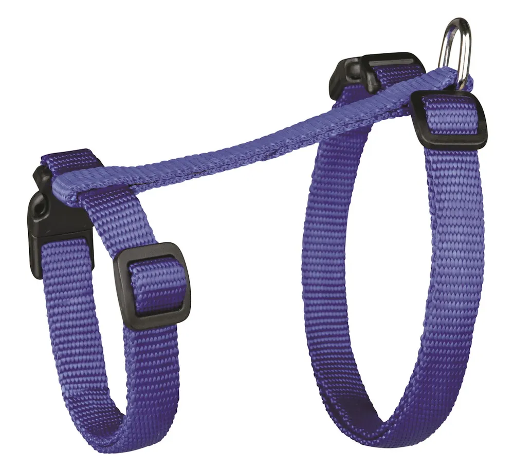 Katzen-Garnitur mit Leine