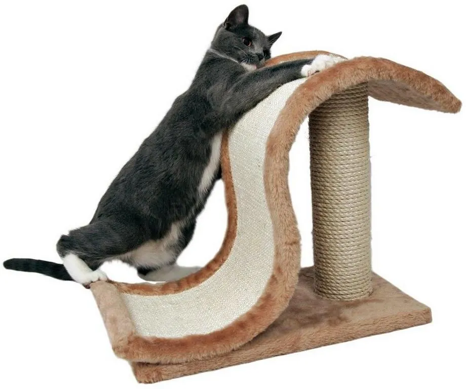 Sisal-Kratzwelle auf Stamm,