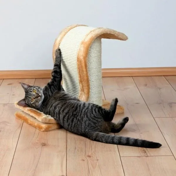 Sisal-Kratzwelle auf Stamm,