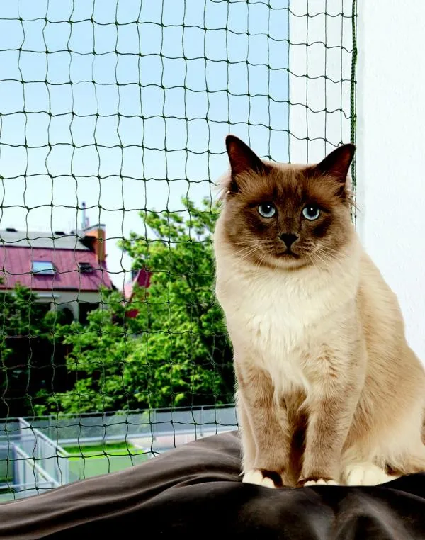 Katzenschutznetz 2x3m, oliv-