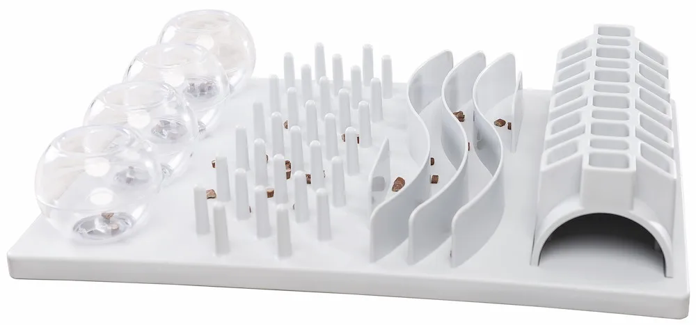 Cat Activity Fun Board