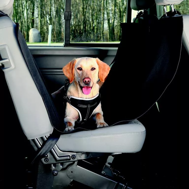 Auto-Schondecke m.Seitenteilen