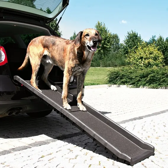 Klapp-Rampe, 40 156 cm,