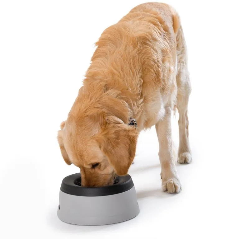 HUNTER Travel Bowl-R. R.1,4 l